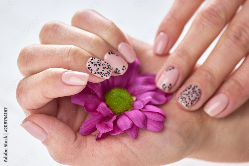 Fototapeta premium Woman hands with short manicured nails. Young woman hands with beautiful manicure holding gentle chrysanthemum. Feminine nail care and treatment.