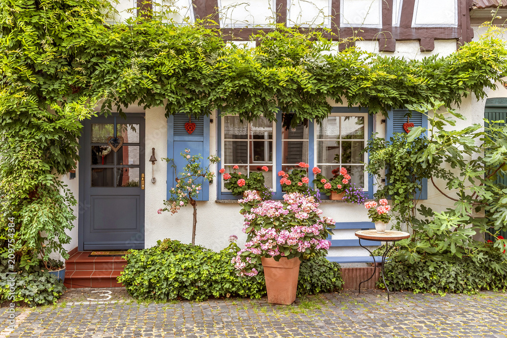 Fototapeta premium Historische Altstadt von Hochheim am Main