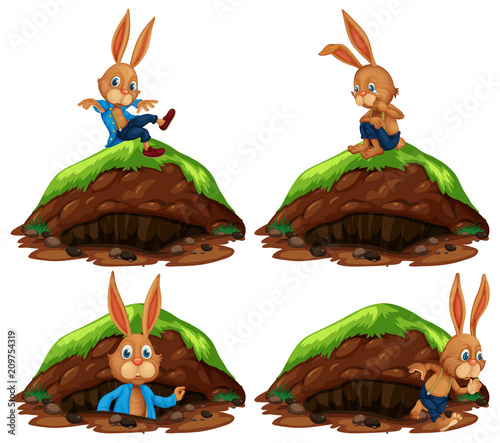 Happy Rabbit on White Background