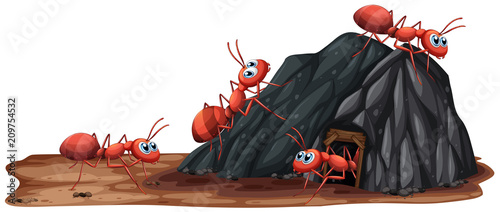 A Ants Family Living in Hole