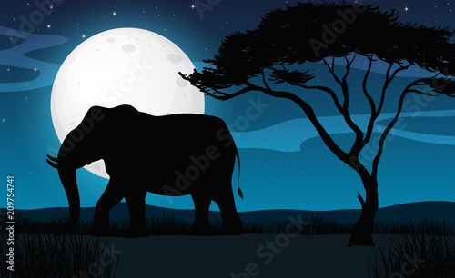 Silhouette Elephant in Savana Night