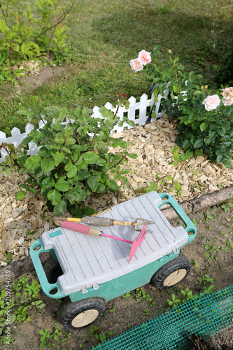 Outils de jardinage. Bêche, râteau ou plantoir. Gardening tools. Spade, rake or dibble. photo