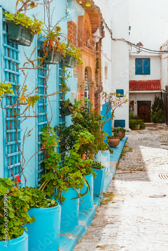 Fototapeta Naklejka Na Ścianę i Meble -  Small streets in blue and white in the kasbah of old city Rabat in Marocco