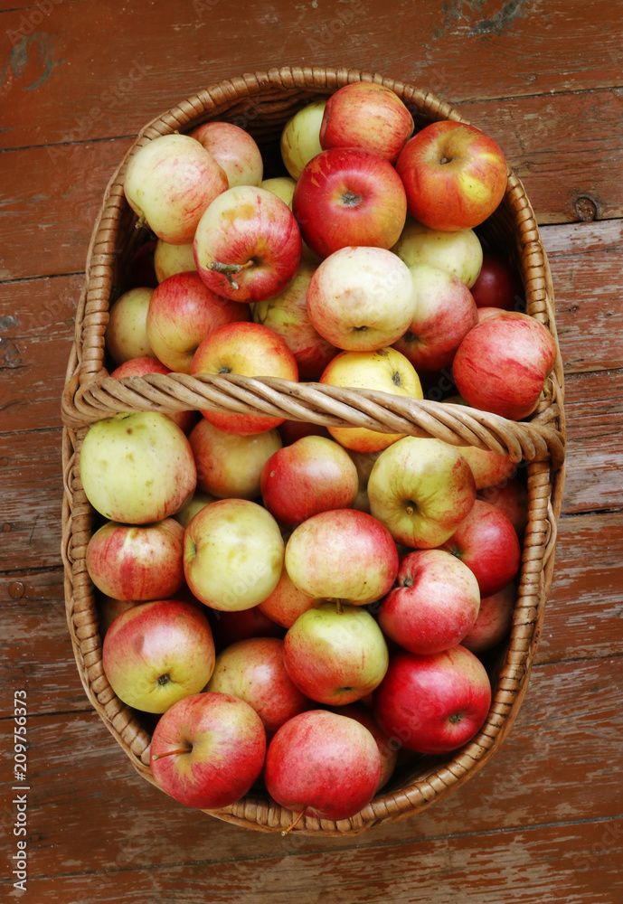 Bright tasty ripe apples in a basket Bright tasty ripe apples in a basket