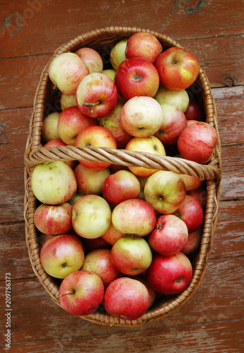 Bright tasty ripe apples in a basket