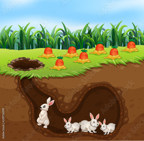 A Rabbit Family Living in Hole