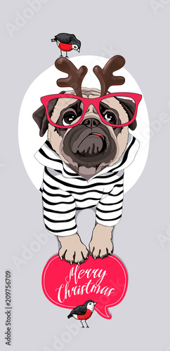 Christmas card. Pug Dog in a striped cardigan, in a horn deer mask, red glasses and with a funny birds. Vector illustration.