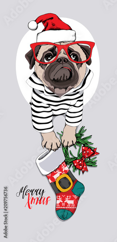 Christmas card. Pug Dog in a striped cardigan, in a red Santa's cap, glasses and with a funny sock, wreath. Vector illustration.