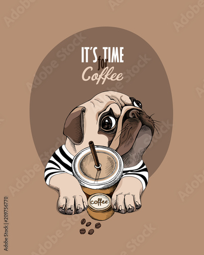 Pug Dog in a striped cardigan and with a plastic cup of a coffee. Vector illustration.
