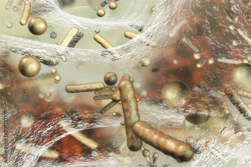 Biofilm of antibiotic resistant bacteria. Rod-shaped and spherical bacteria. Escherichia coli, Pseudomonas, Mycobacterium tuberculosis, Klebsiella, Staphylococcus aureus, MRSA. 3D illustration photo