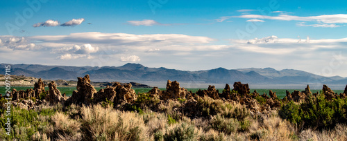 Mono Lake South Tufa, Owens Valley, Califonia photo