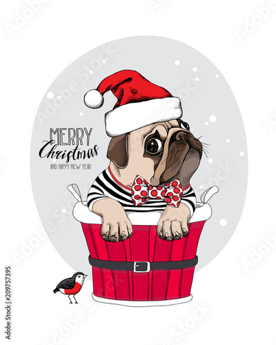 Christmas card. Pug Dog in a red Santa's cap and with a funny party bow tie inside of a bucket. Vector illustration.