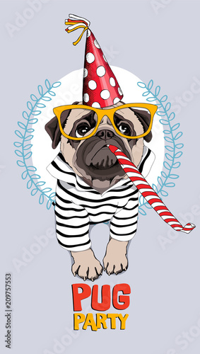 Pug Dog in a striped cardigan, in a red party cap, yellow glasses and with a funny party  whistle blowing. Vector illustration.