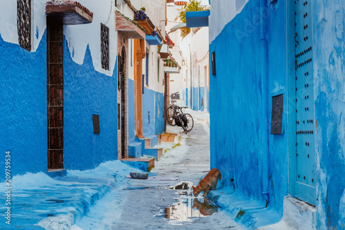Fototapeta Naklejka Na Ścianę i Meble -  Small streets in blue and white in the kasbah of the old city Rabat in Marocco