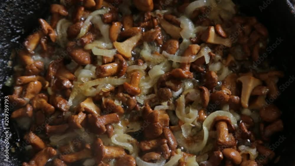 Mushrooms chanterelle fry in a skillet with butter and onions, close-up Mushrooms chanterelle fry in a skillet with butter and onions, close-up