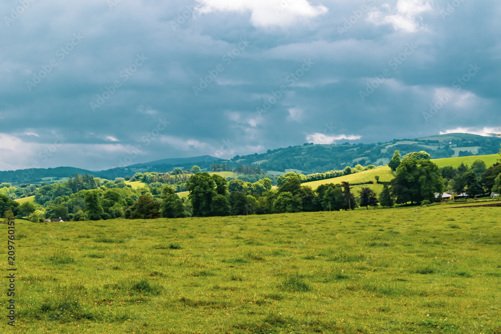 The countryside in Dartmoor