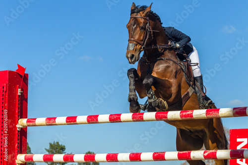 Show Jumping Horse Rider Closeup Action © ChrisVanLennepPhoto