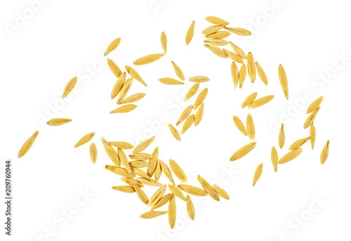 Grain of oats on a white background