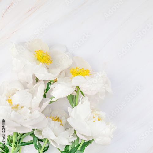 White peony flowers on marble background