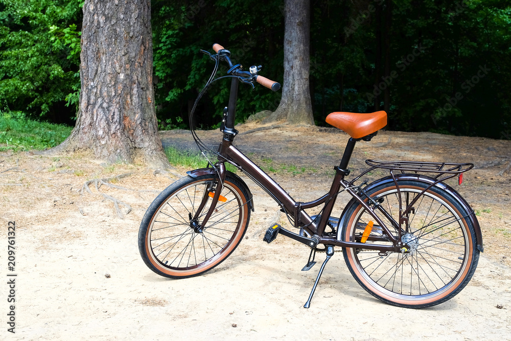 Folding walking women's bike. Blurred background, bokeh. Green grass. Bicycle element. Nature.