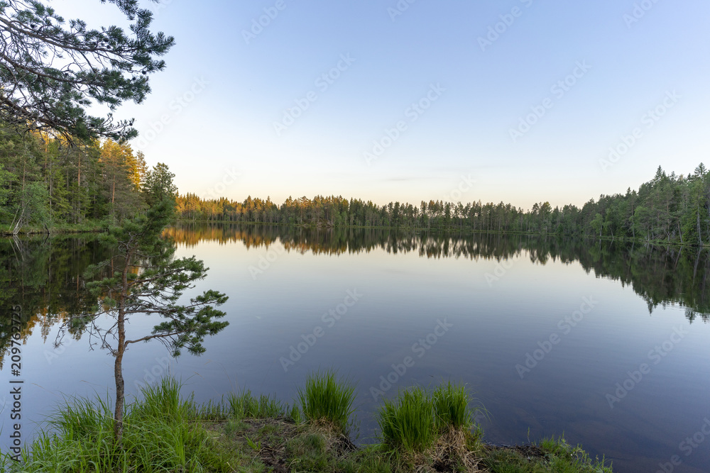 Natur Reservat Glaskogen Schweden