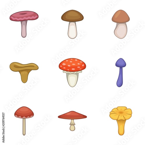Mushroom picker icons set. Cartoon set of 9 mushroom picker vector icons for web isolated on white background