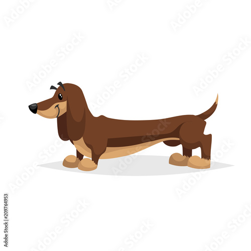 Cartoon dachshund dog standing. Simple gradient purebred vector illustration. Comic dog character. Pet animal isolated on white background.