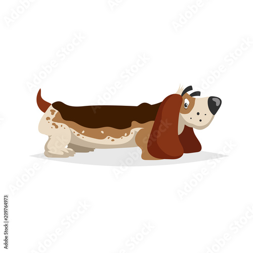 Cartoon basset hound dog standing. Simple gradient purebred vector illustration. Comic dog character. Pet animal isolated on white background.