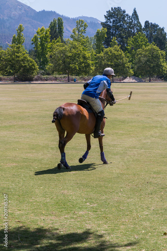 A polo player in an blue jersey leans to the right side of his brown horse raises his mallet to hit a ball. The horse is galloping away from the camera. In the background is are trees and shrubs.