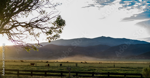Hunewill Guest & Cattle Ranch near Bridgeport, California at the foot of the Eastern Sierra Nevadas