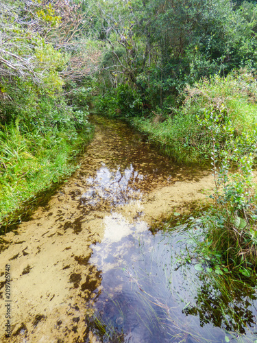 Source of Rio Vermelho (Red river), clean, transparent waters reflecting the sky - Florianopolis, Brazil photo