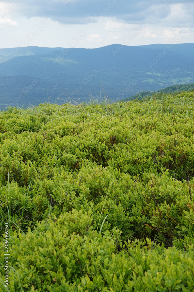 Fototapeta premium Bieszczady Mountains in Poland