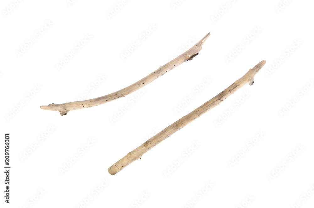 Dry tree branch isolated on white background. Dry tree branch isolated on white background.