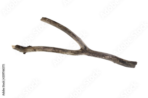 Dry tree branch isolated on white background.