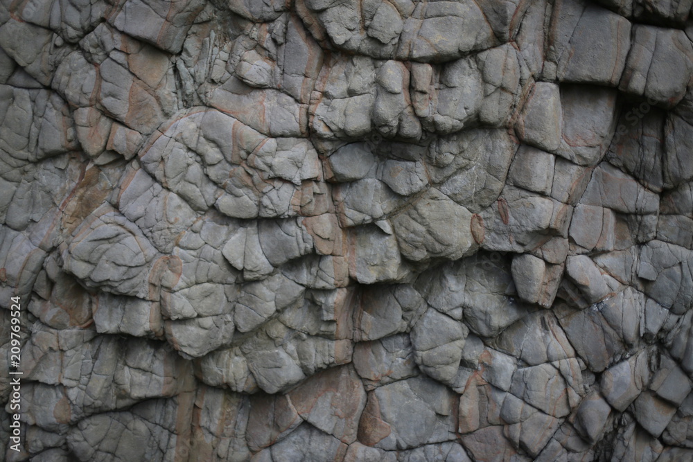 muro muro