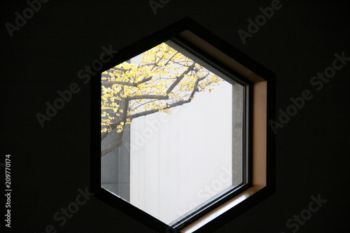 view from hexagonal window
