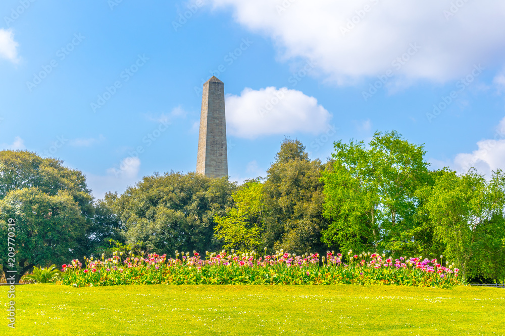 Fototapeta premium People's garden in the Phoenix park in Dublin, Ireland