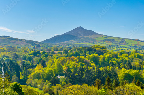 Billede på lærred Sugarloaf hill in Ireland