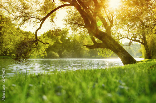 Beautiful Krka river at golden sunset, Otocec, Slovenia. Selective focus used. photo