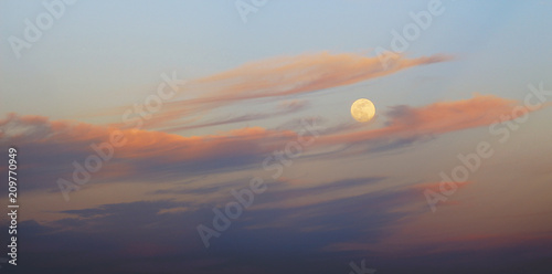 Fototapeta Naklejka Na Ścianę i Meble -  moon