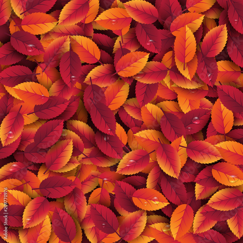 3d realistic autumn leaves with water drop. Autumnal background in red, orange and yellow colors. Design for web, print, wallpaper. Vector illustration.