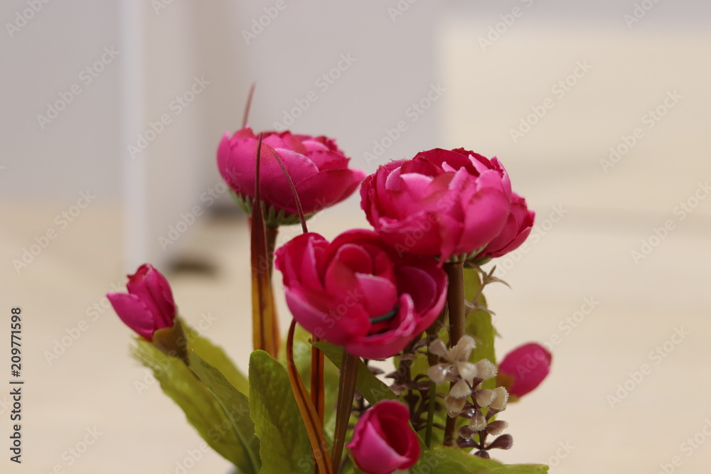 Fototapeta premium Red Flowers