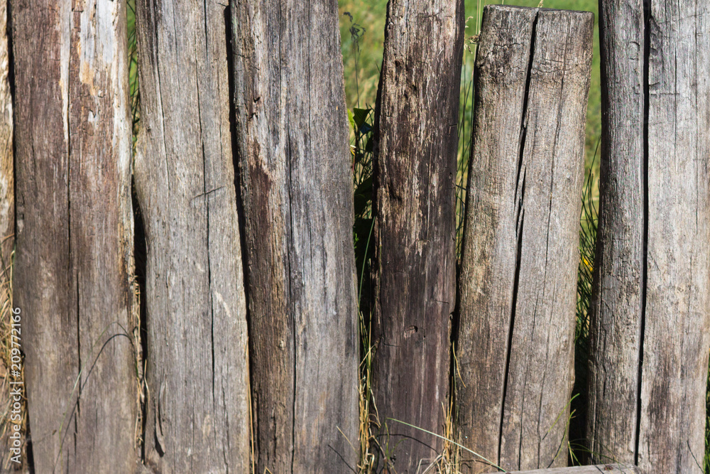 Rural background of grass and stumps Rural background of grass and stumps