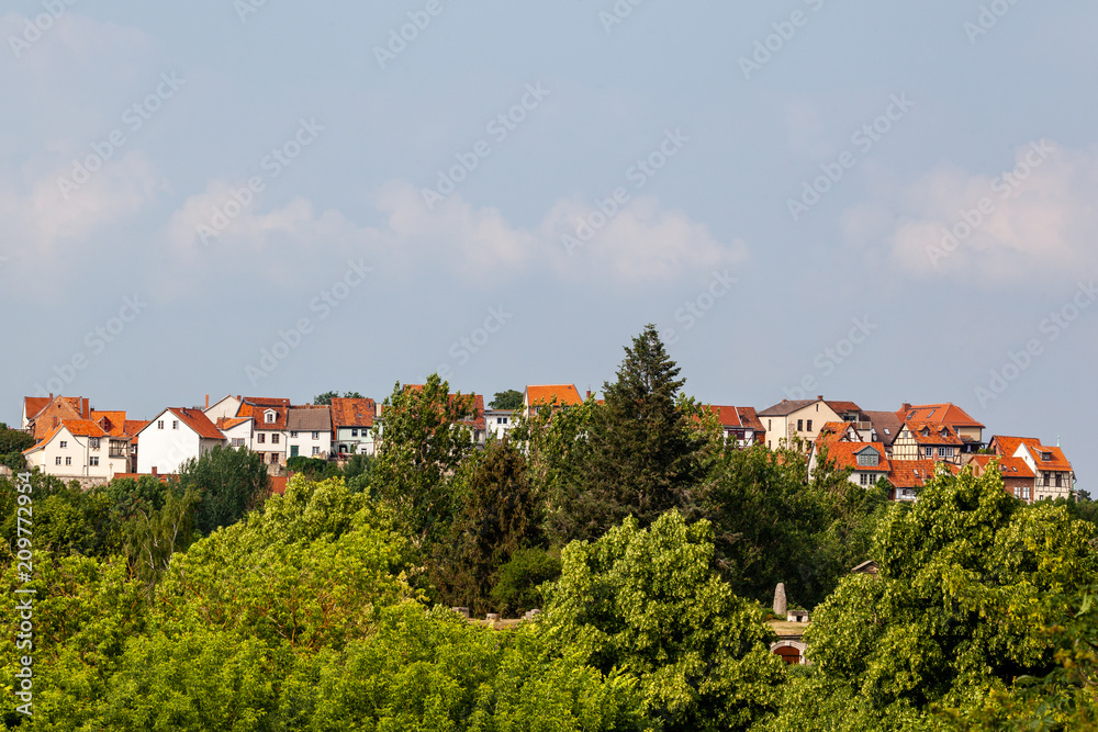 Blick auf den Münzenberg in Quedlinburg