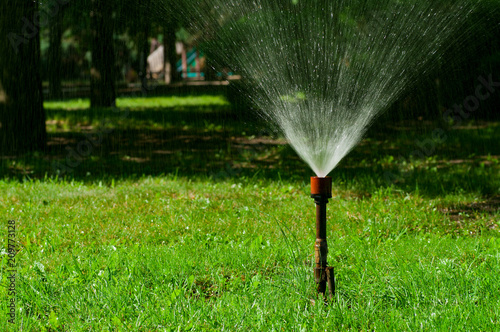 Old sprinkler watering lawn in garden.