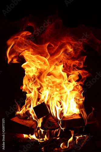 Long tongues of flame of burning fire © alexkich