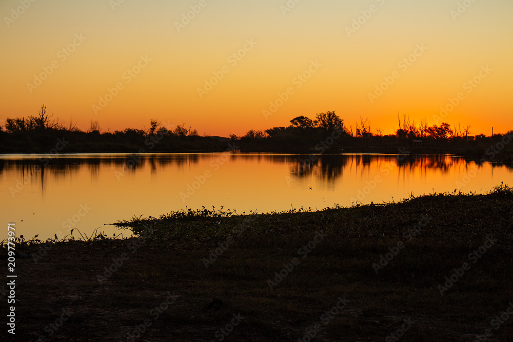 Silhouettes of trees at sunset in the field. Reflections on the lake at sundown.
