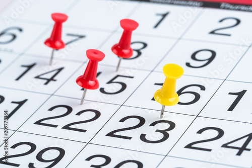 Colourful Pushpins on a Calendar Page Highlighting some important Dates. © alpegor