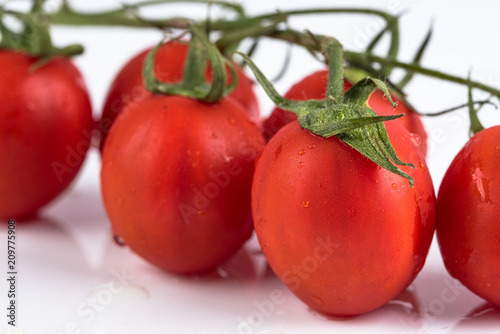 Tomatoes on a Whoite Background photo