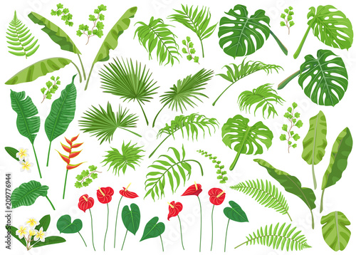 Tropical Leaves and Flowers Big Set